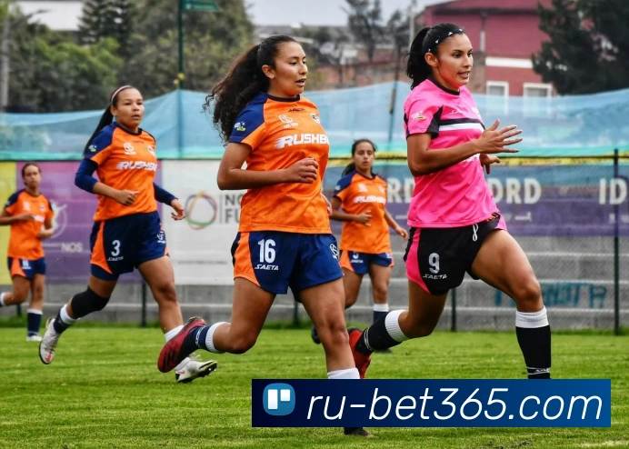 bet365平台生态图